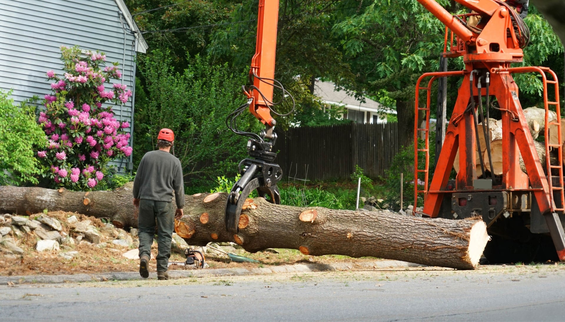Local partner for Tree removal services in Kirkland