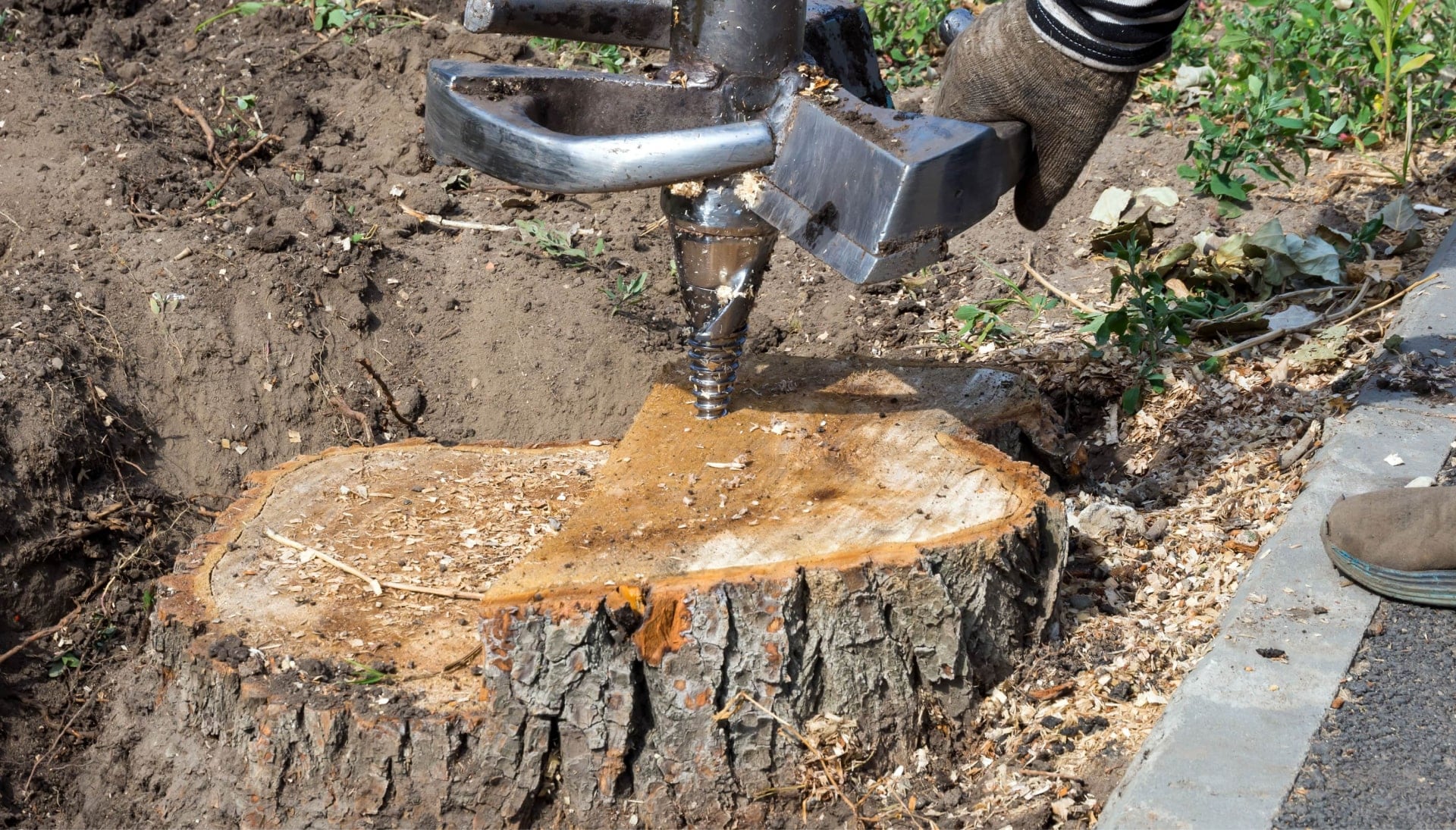 Kirkland Tree stump removal